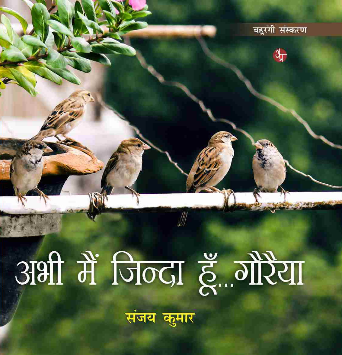 Life address before life